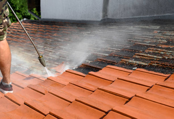 Best Residential Pressure Washing Services  in Ladonia, AL