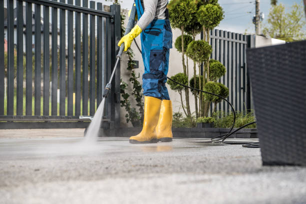 Best Residential Pressure Washing Services  in Ladonia, AL