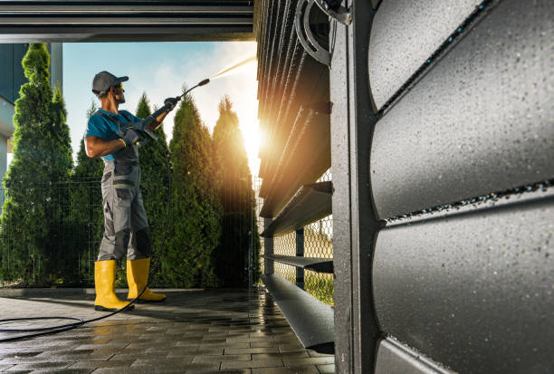 Best Local Pressure Washing Services  in Ladonia, AL