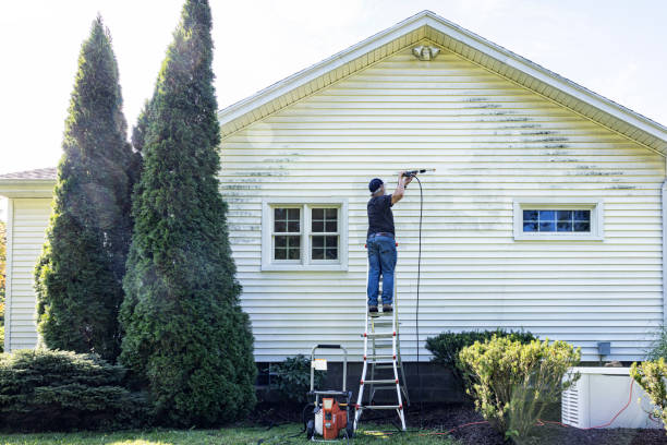 Garage Pressure Washing in Ladonia, AL