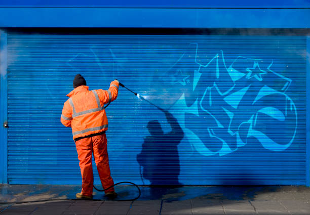 Best Garage Pressure Washing  in Ladonia, AL