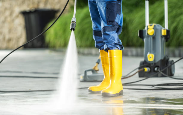 Best Pressure Washing Company Near Me  in Ladonia, AL