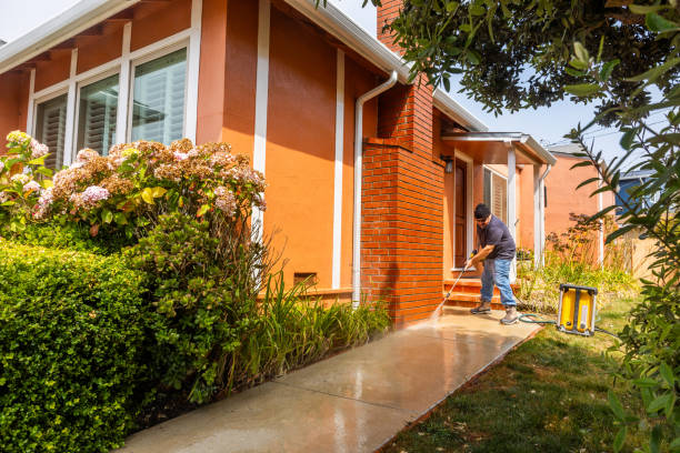 Best Concrete Pressure Washing  in Ladonia, AL