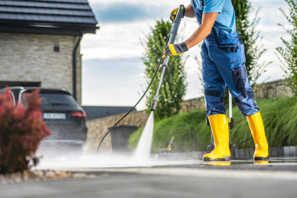 Best Power Washing Near Me  in Ladonia, AL